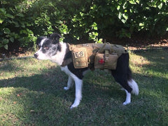 Echo-Sigma Dog Pack-Survival Gear-Echo-Sigma